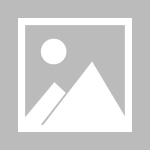 火博体育官方入口-“东北超”赛事筹备进入收官阶段 8支城市代表队组建完成|辽宁省体育局|曹阳|省区|足球|常规赛